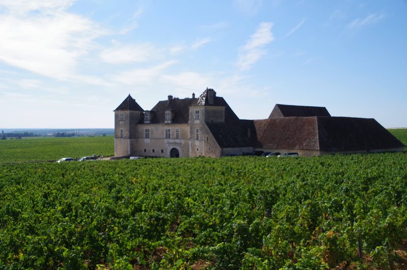 Burgundy's Cote d'Or, France Burgundy's Cote d'Or, France