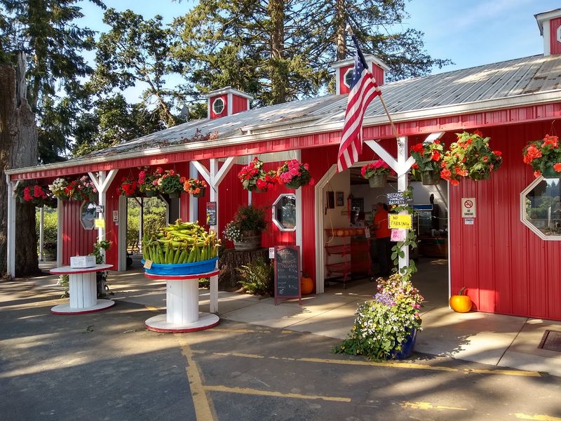Bush's Fern View Farms, Junction City, OR