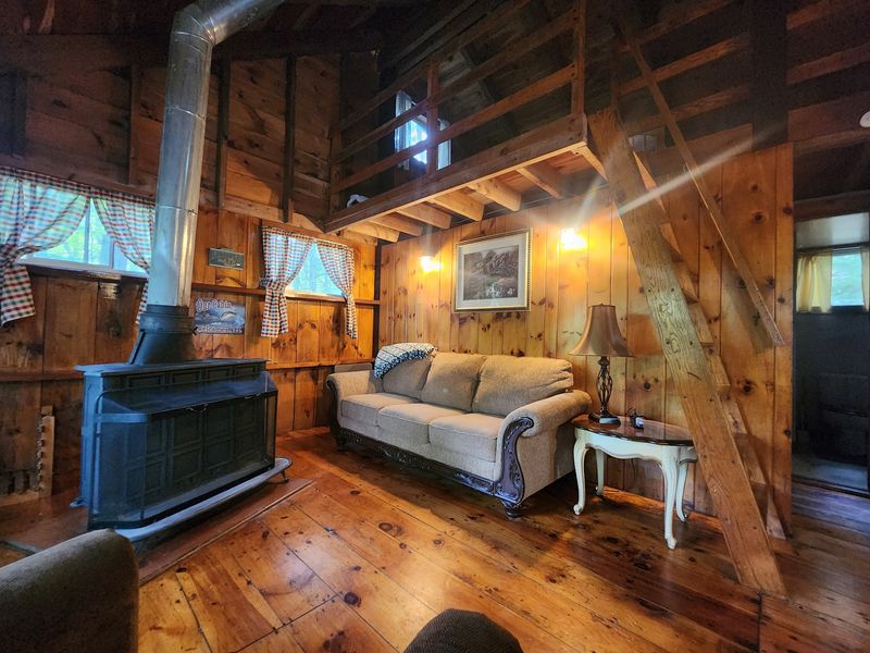 Cabins Built for Comfort and Calm