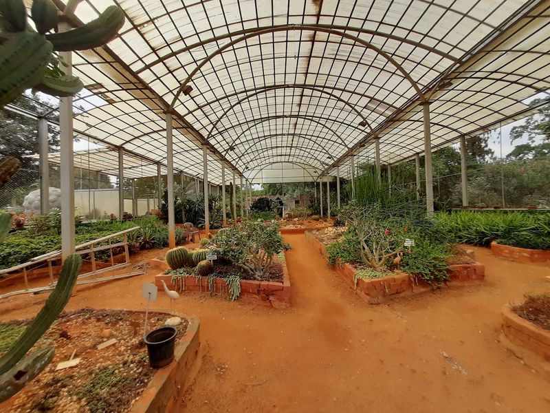 Cactus House at Lalbagh Botanical Garden, Bengaluru, India Cactus House at Lalbagh Botanical Garden, Bengaluru, India
