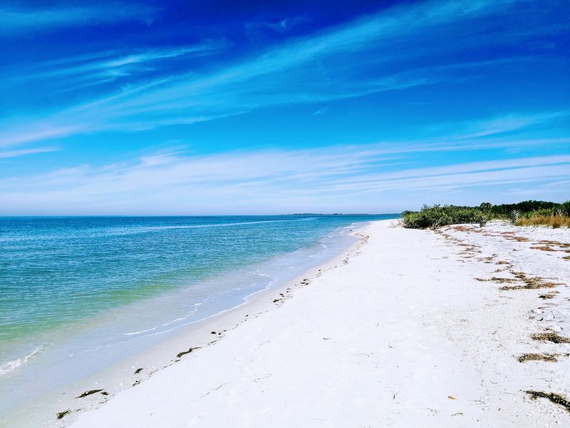Caladesi Island State Park, Dunedin, FL Caladesi Island State Park, Dunedin, FL