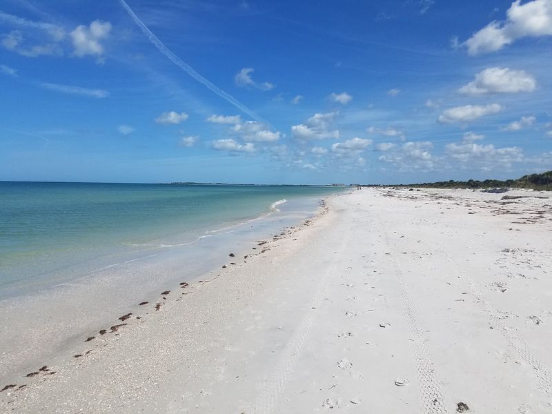 Caladesi Island State Park, Dunedin, Florida