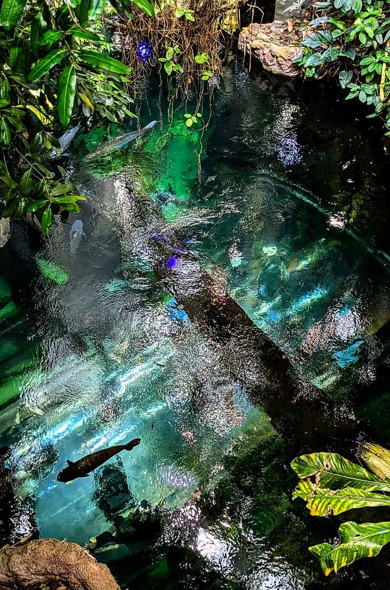 California Academy of Sciences, San Francisco, California California Academy of Sciences, San Francisco, California