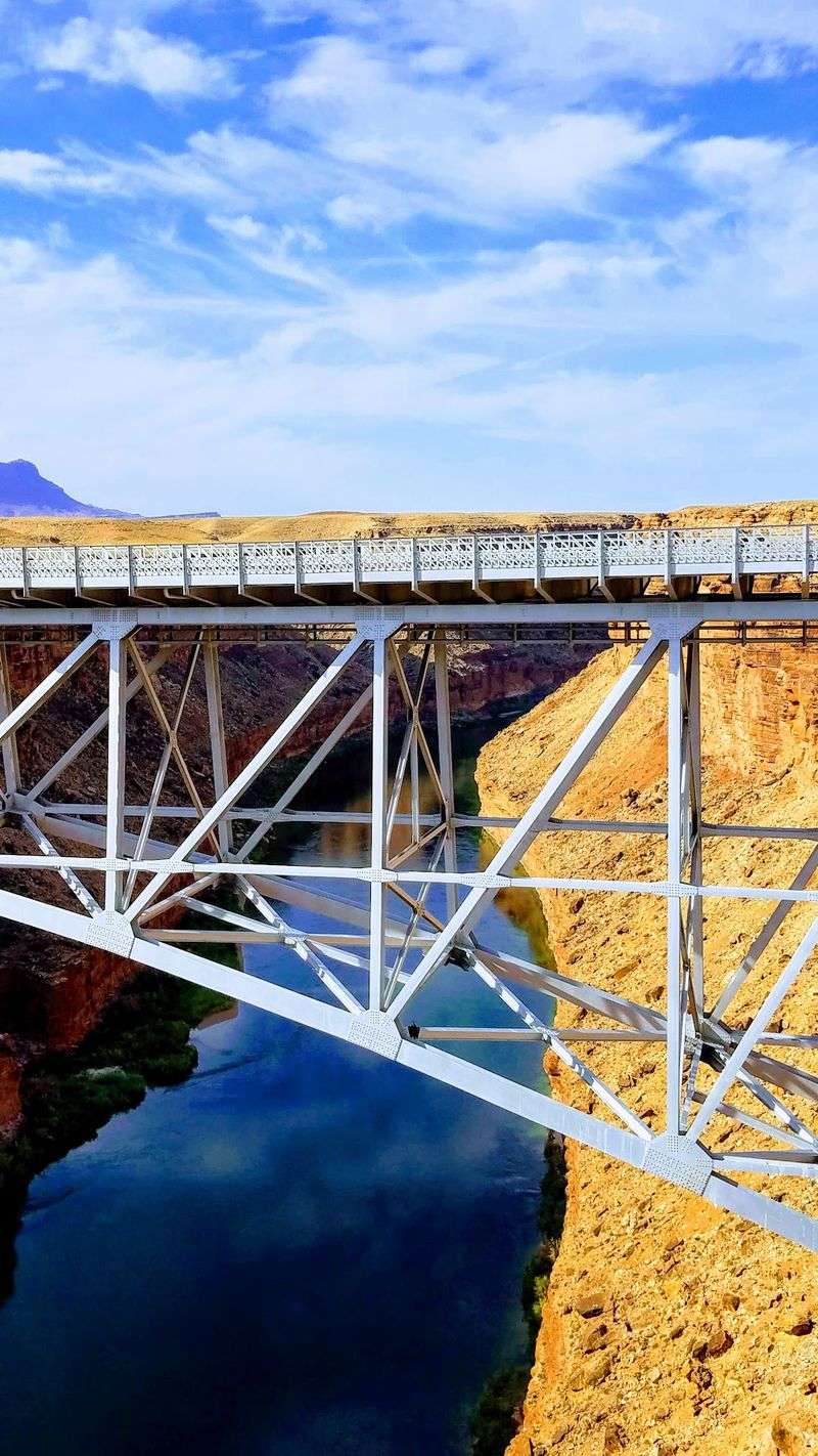 California Condors on the Steel Trusses