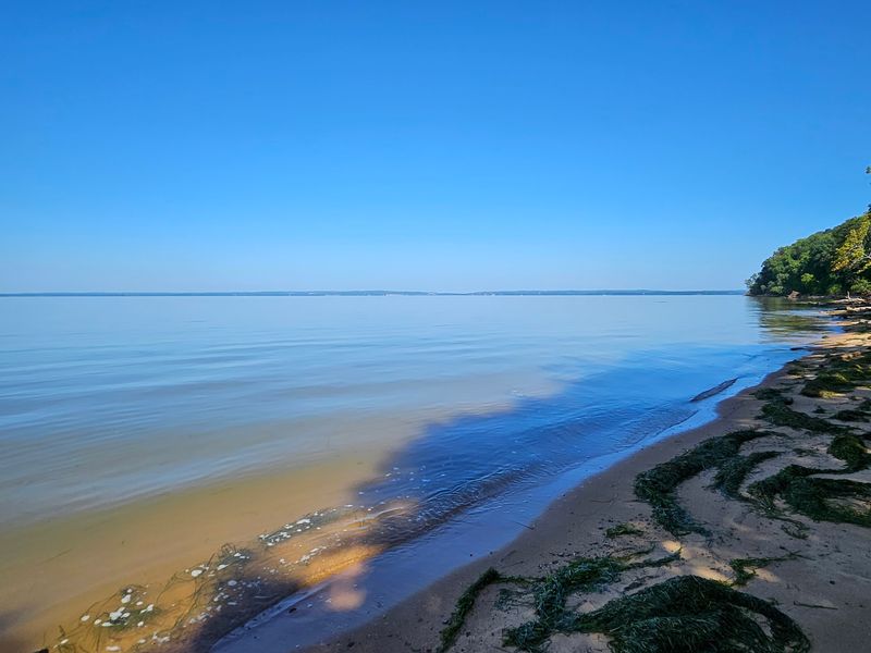Calm Water Made for Family Swims