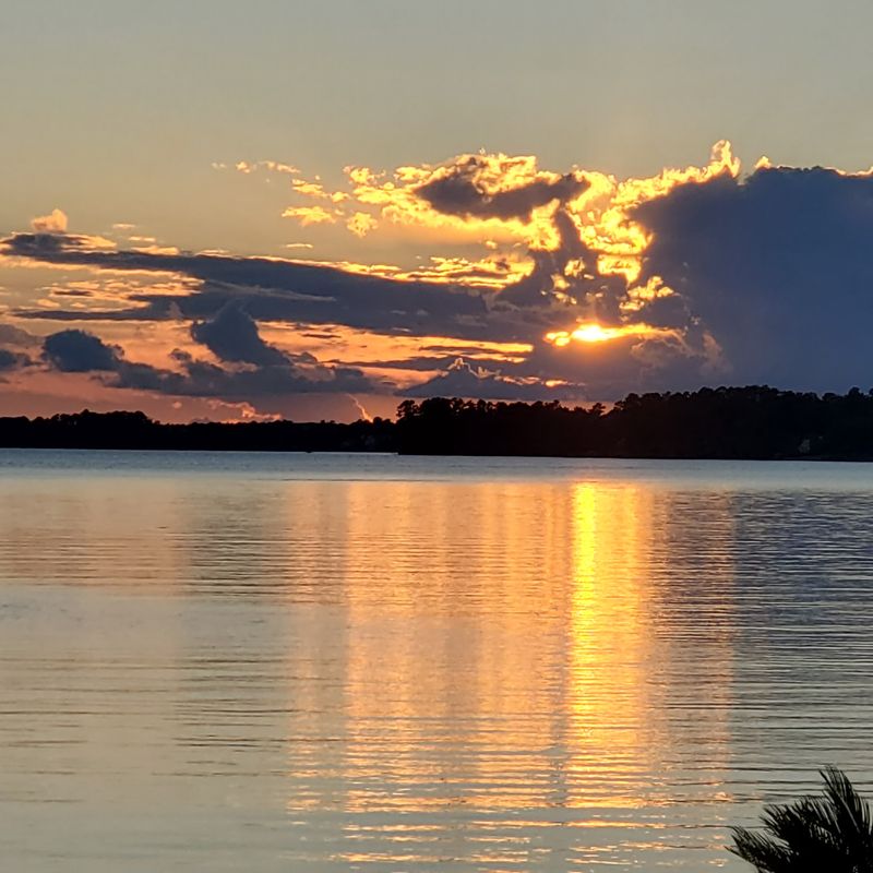 Camping, Cabins, and Stargazing Nights
