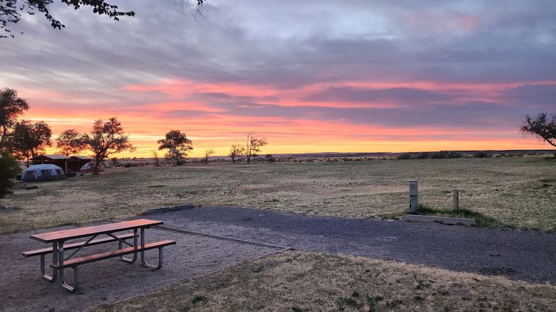 Camping Options for Every Style of Visitor