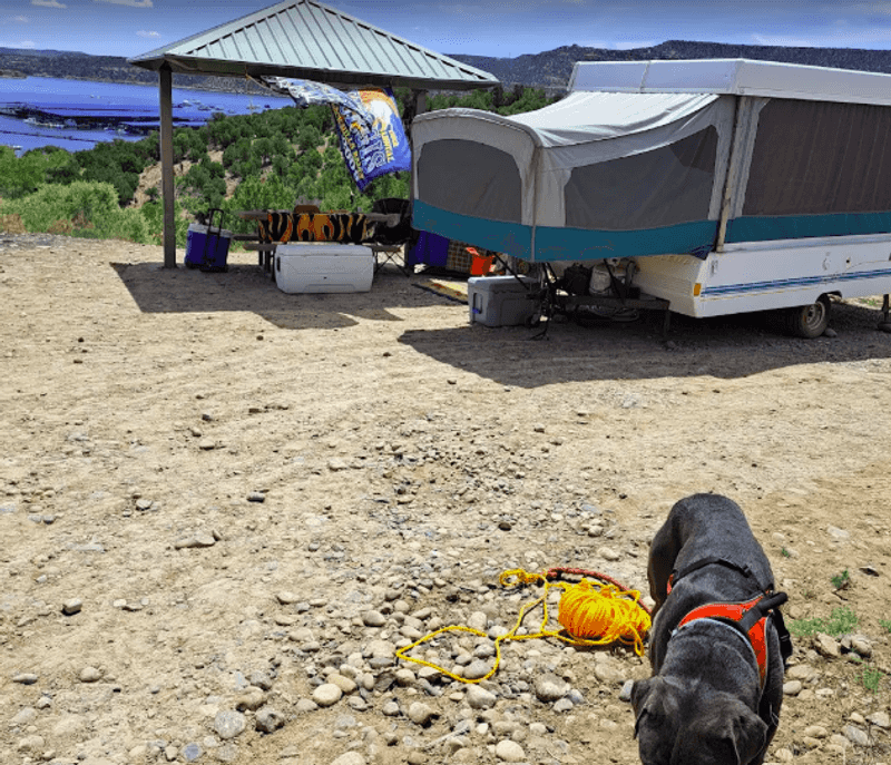 Camping Under Dark Desert Skies Camping Under Dark Desert Skies