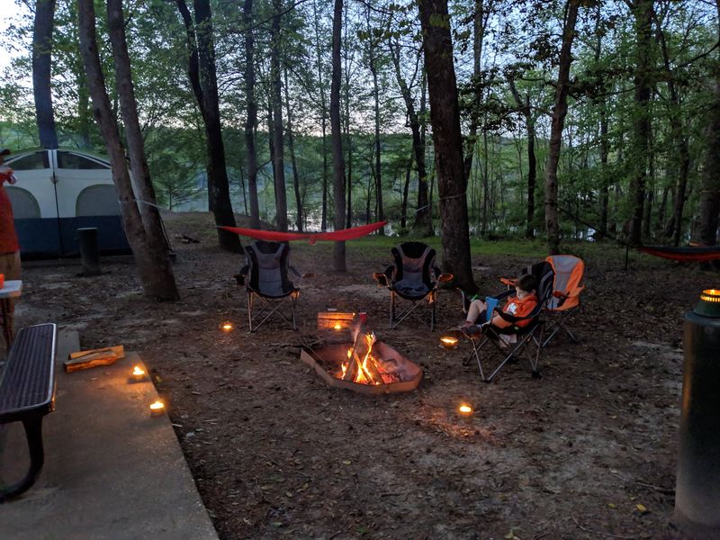 Camping Under the Pines: What to Expect at the Campground Camping Under the Pines: What to Expect at the Campground