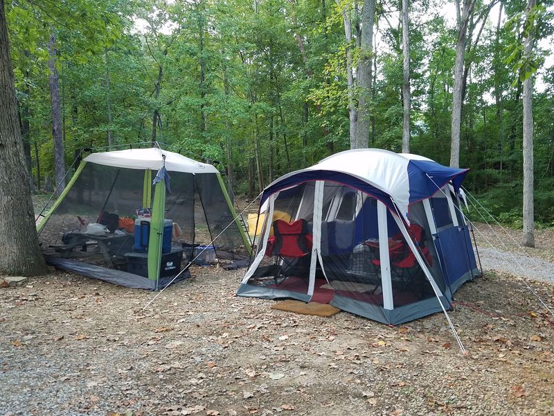 Camping Under the Trees Camping Under the Trees