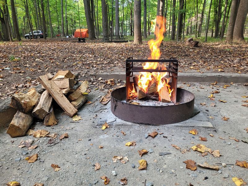 Camping Under the Trees