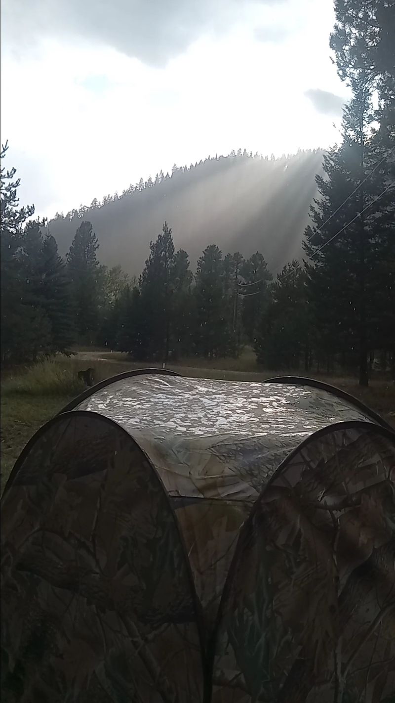 Camping in the Pines: What to Expect at the Campground