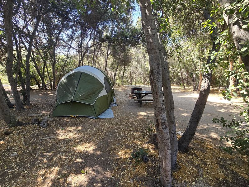 Campsites Beneath the Oaks Campsites Beneath the Oaks