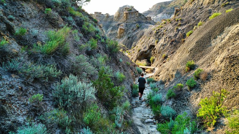 Cap Rock Nature Trail, Glendive, Montana Cap Rock Nature Trail, Glendive, Montana