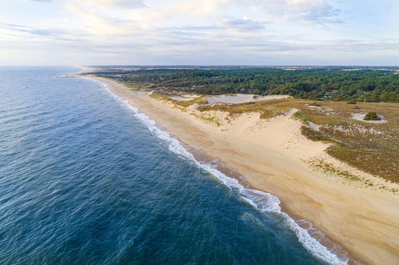 Cape Henlopen State Park, Lewes, Delaware
