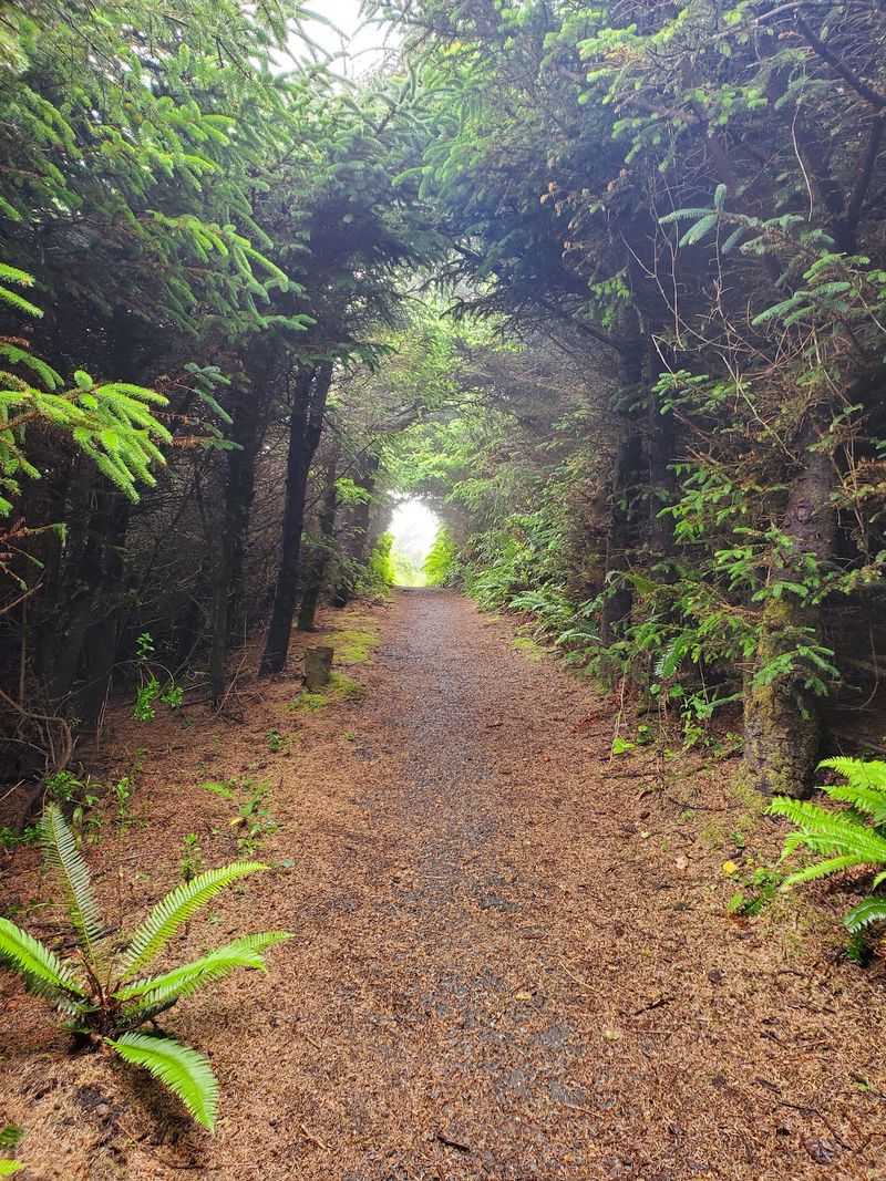 Cape Sebastian Trail Cape Sebastian Trail