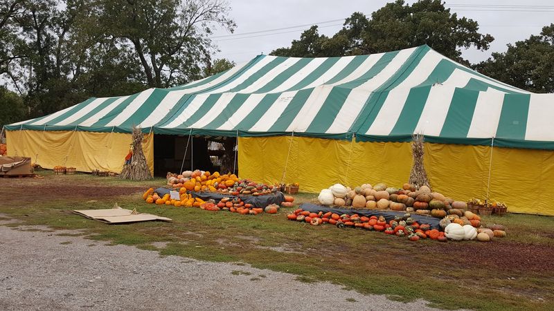 Carmichael's Pumpkin Patch, Bixby, OK