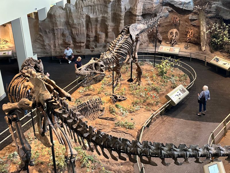 Carnegie Museum of Natural History, Pittsburgh, Pennsylvania