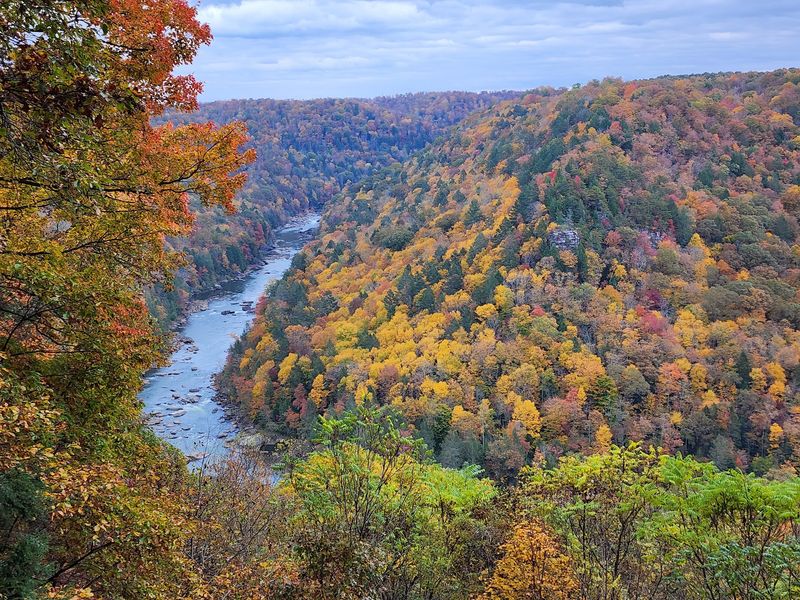 Carnifex Ferry Battlefield State Park, Summersville, West Virginia