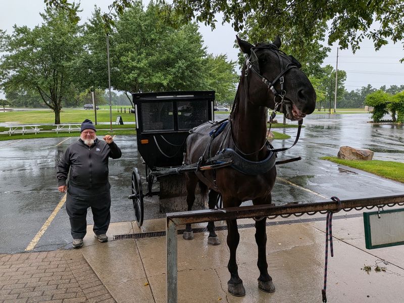 Carriage Rides and Country Views Carriage Rides and Country Views