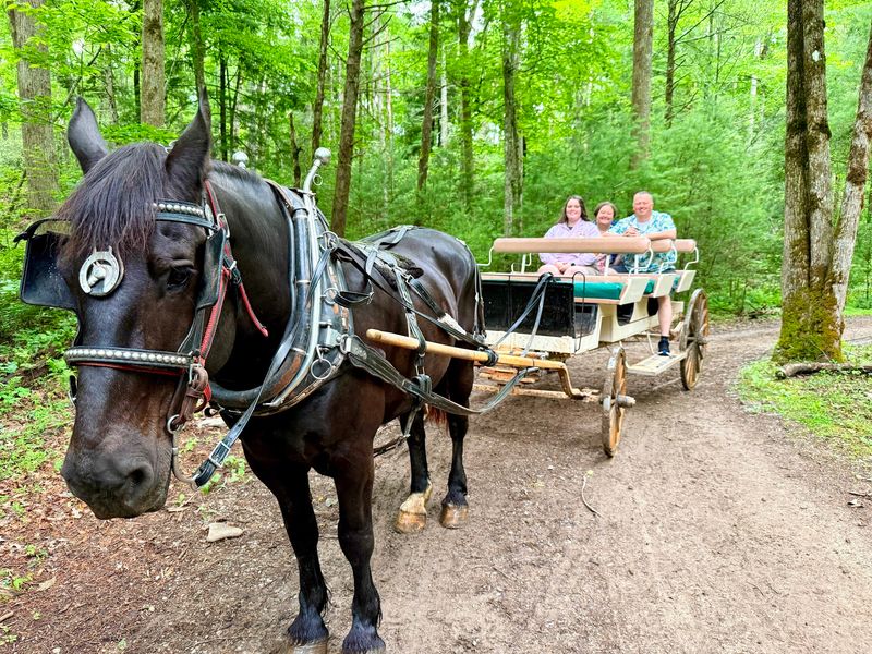 Carriage Rides for Every Age Carriage Rides for Every Age