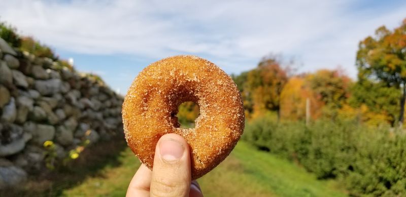 Carter Hill Orchard, Concord, New Hampshire Carter Hill Orchard, Concord, New Hampshire