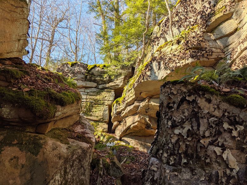 Carved by Time: Ancient Geology Underfoot Carved by Time: Ancient Geology Underfoot