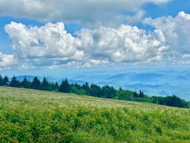 Carvers Gap Trailhead, Roan Mountain, TN Carvers Gap Trailhead, Roan Mountain, TN