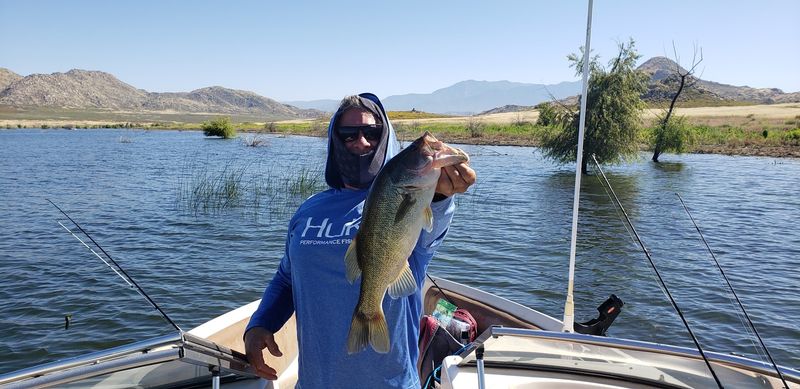 Casting a Line for the Day