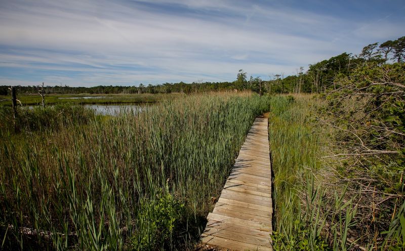 Cattus Island County Park, Toms River, NJ