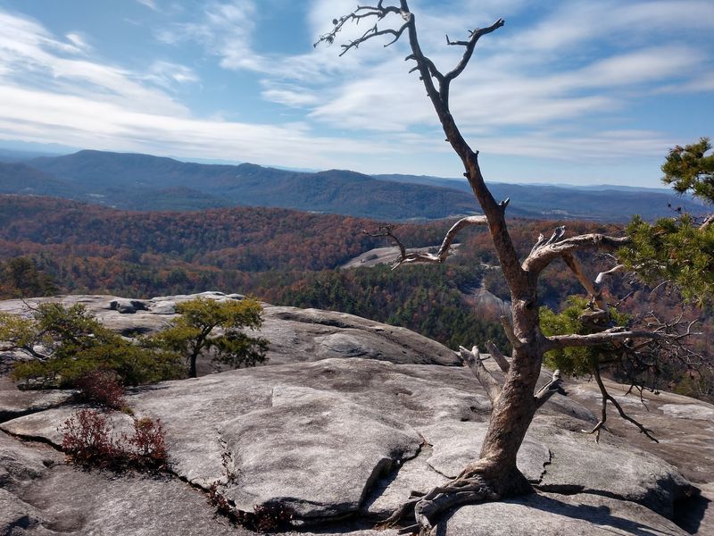 Cedar Rock, Wolf Rock, and the Trails Beyond the Summit Cedar Rock, Wolf Rock, and the Trails Beyond the Summit