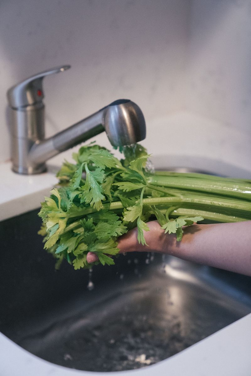 Celery Celery