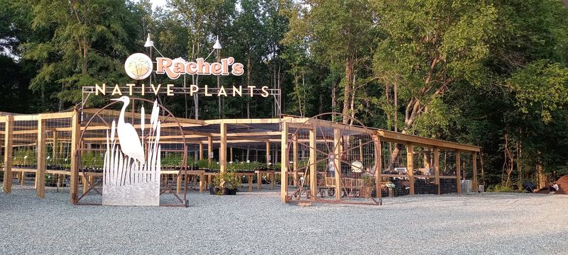 Charming Neighbors Worth Exploring Charming Neighbors Worth Exploring