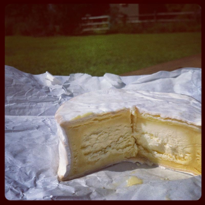 Cheese Making With Local Character Cheese Making With Local Character