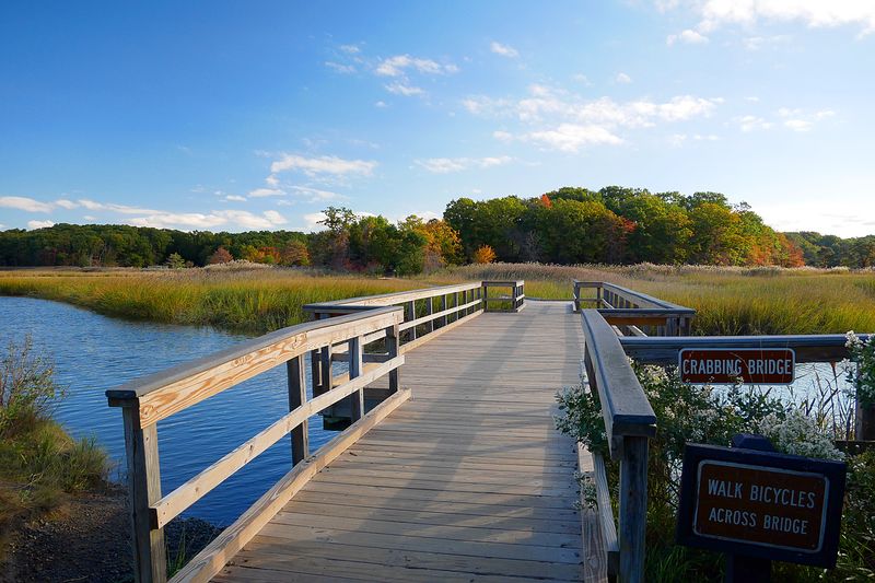 Cheesequake State Park, Matawan, NJ Cheesequake State Park, Matawan, NJ