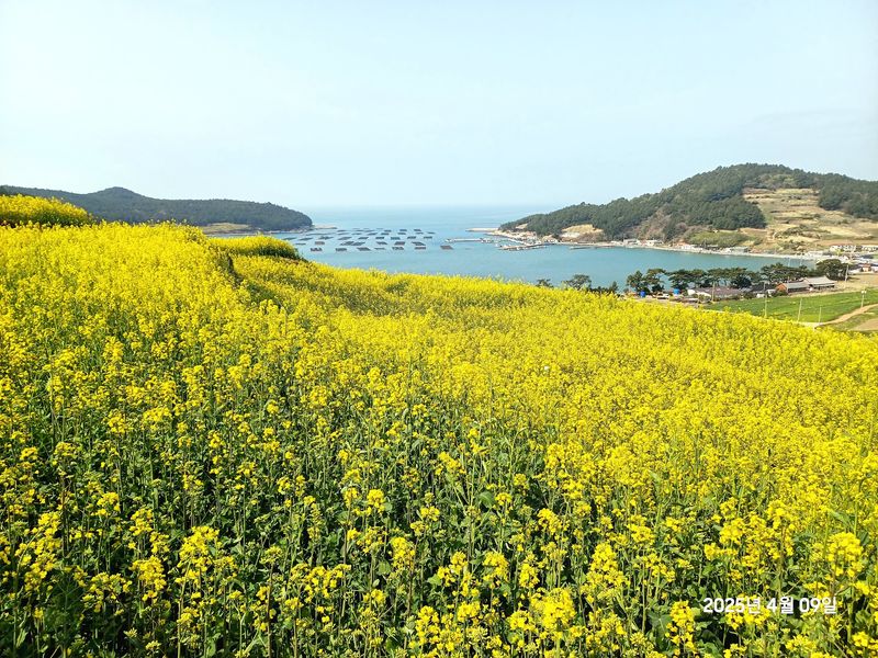 Cheongsando Island, Wando, Jeollanam-do Cheongsando Island, Wando, Jeollanam-do