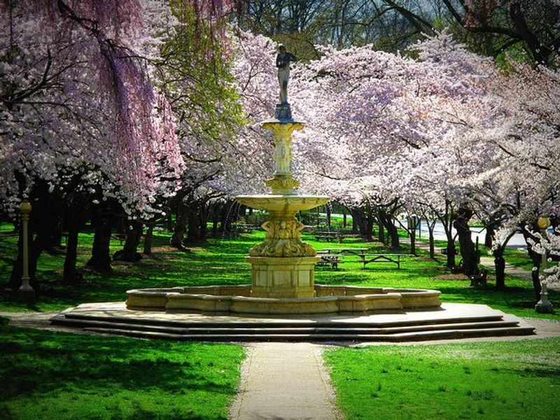 Cherry Blossoms and the Josephine Fountain: A Spring Story Worth Telling Cherry Blossoms and the Josephine Fountain: A Spring Story Worth Telling