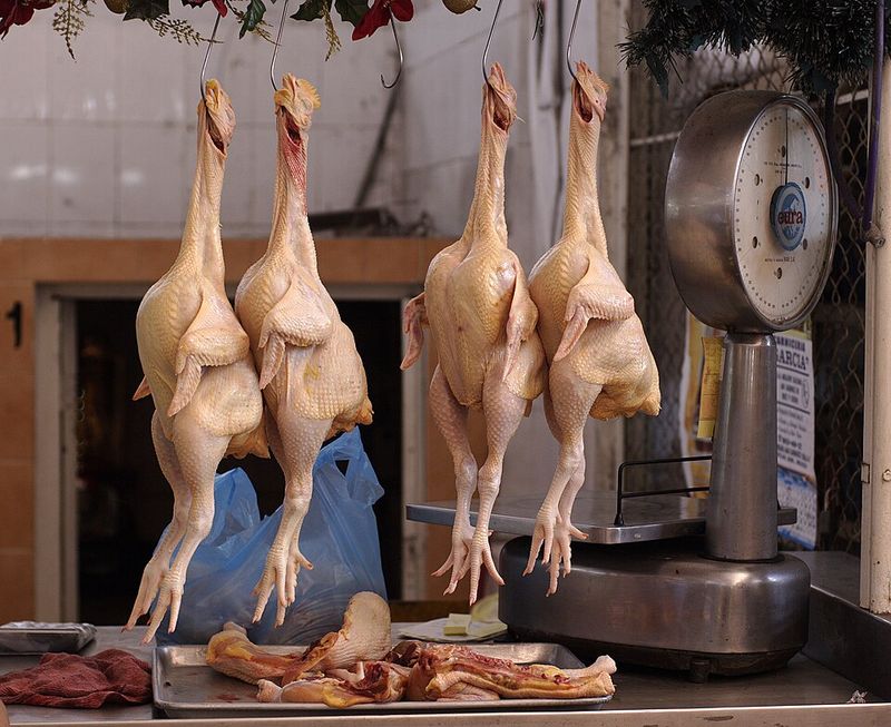 Chicken