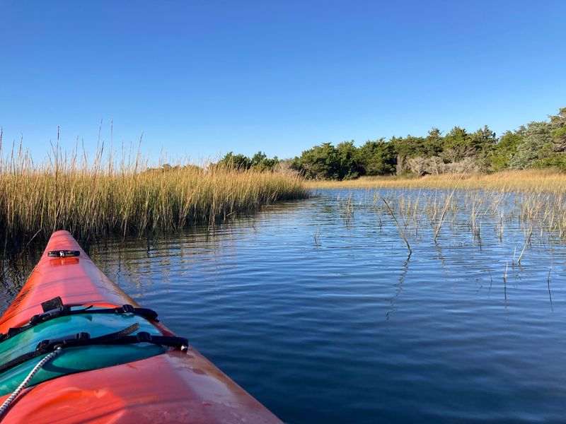 Choosing Your Ride Across the Water