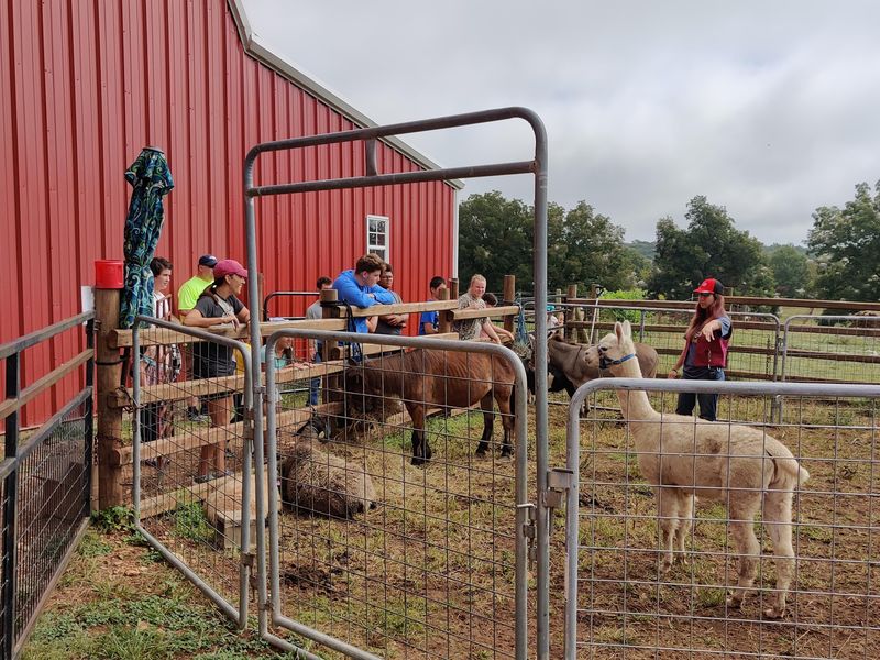 Christmas Nativity and Year-Round Special Events Christmas Nativity and Year-Round Special Events