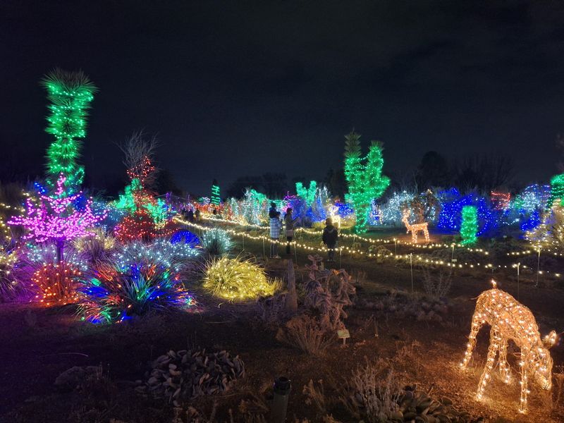 Christmas in the Garden Transforms the Entire Five Acres