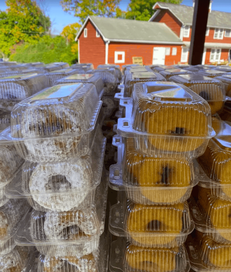 Cider Donuts At The Center Of The Trip
