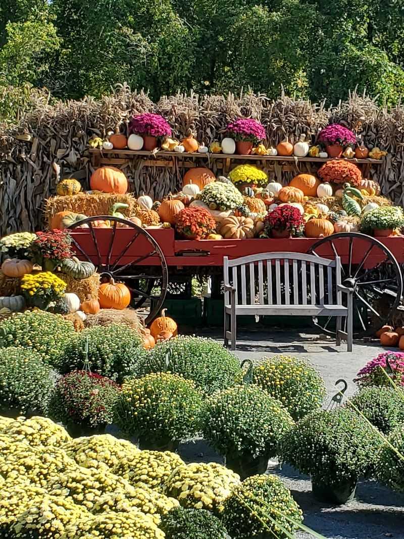 Cider Hill Farm, Amesbury, MA Cider Hill Farm, Amesbury, MA