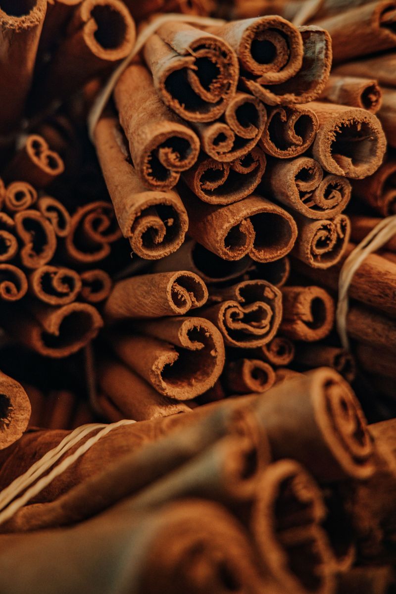 Cinnamon Cinnamon