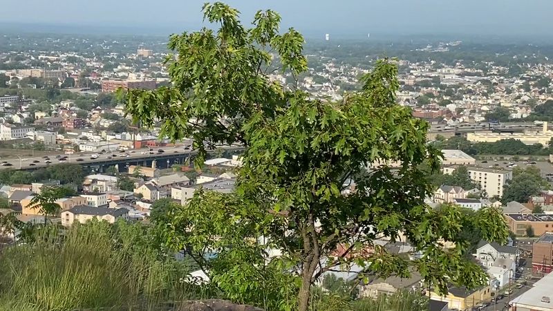 City Views From Garret Mountain City Views From Garret Mountain