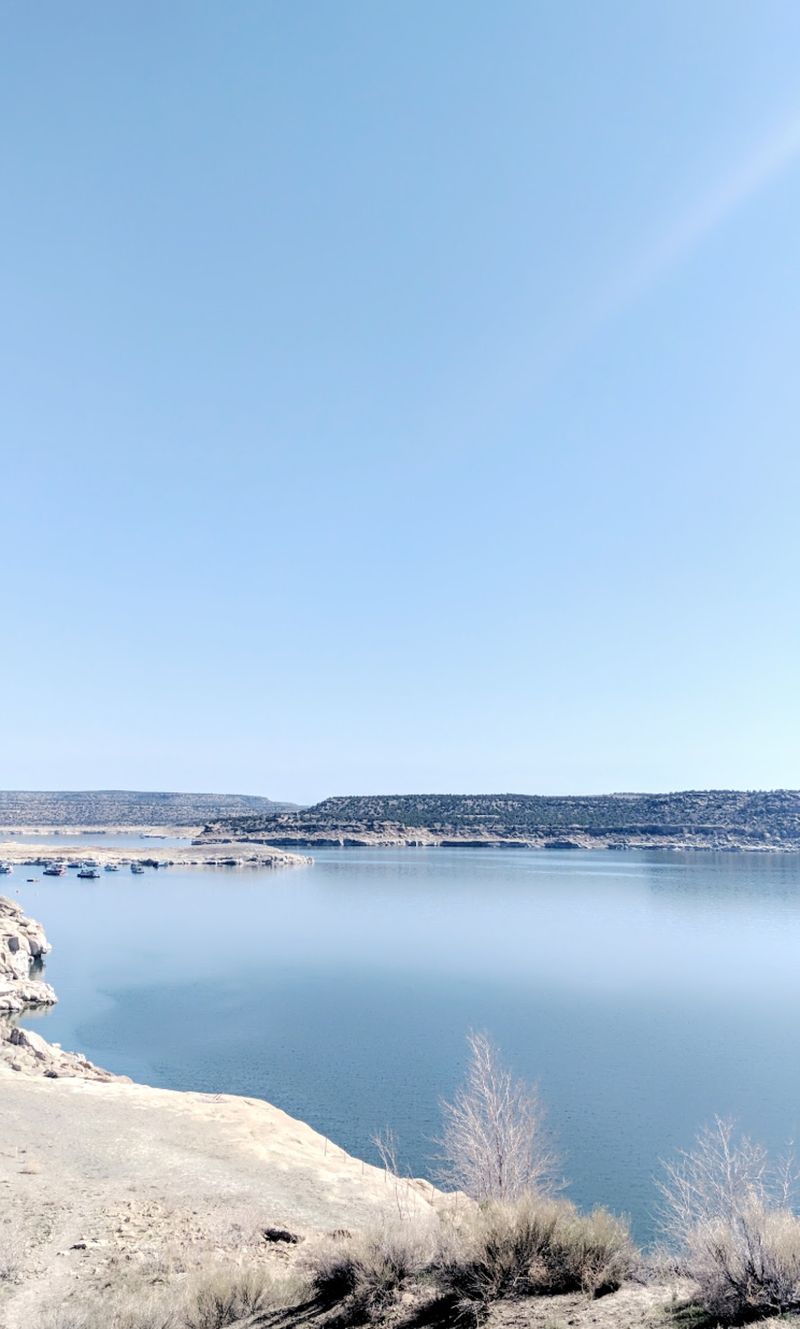 Clear Coves Built for Swimming Clear Coves Built for Swimming