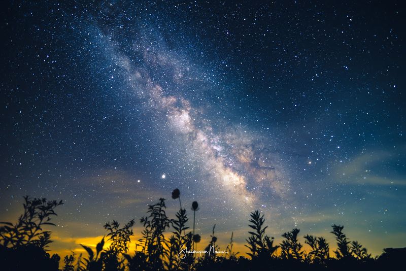 Clear Skies Make The Park a Stargazing Favorite Clear Skies Make The Park a Stargazing Favorite