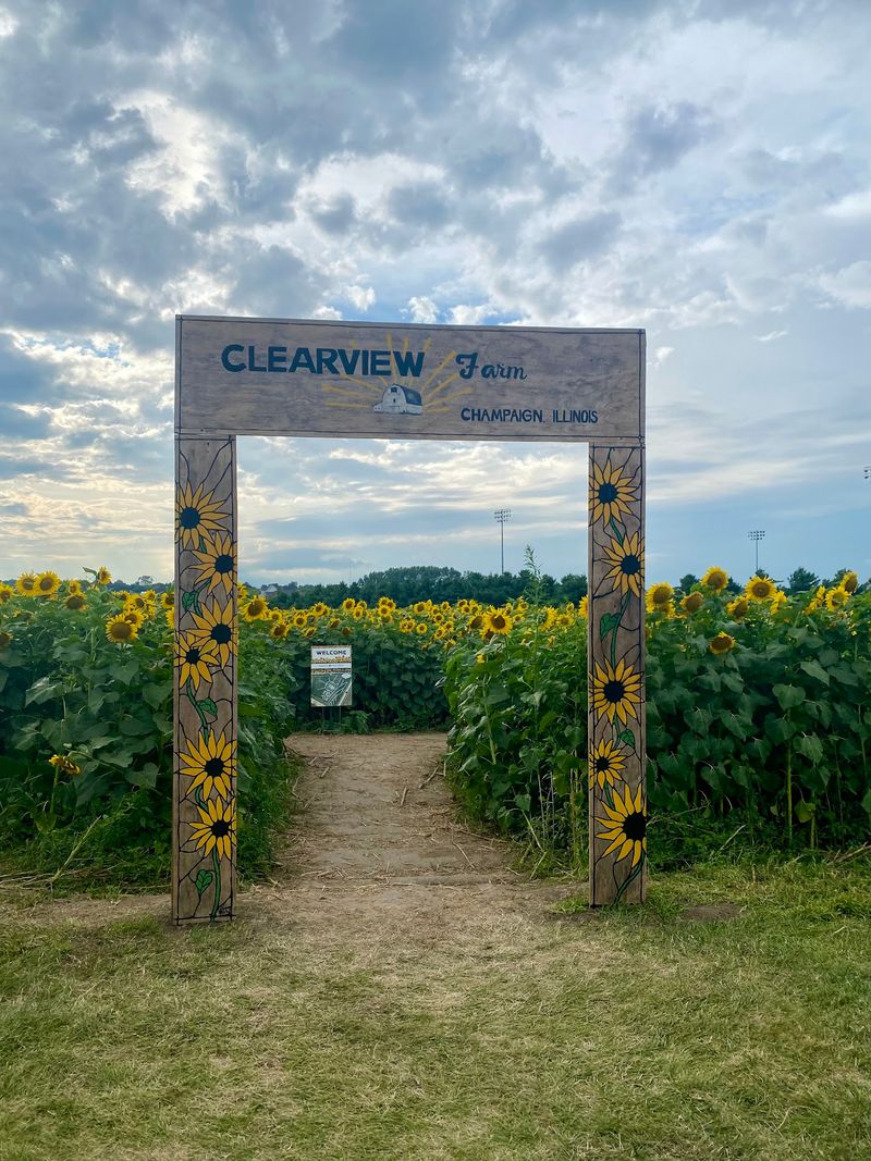 Clearview Farm and Its Place on the Illinois Map