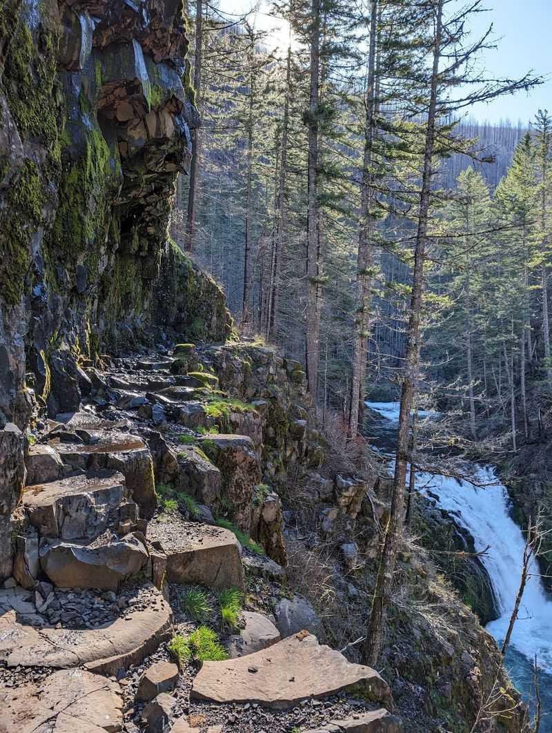 Cliffside Ledges and a Rocky Ridge