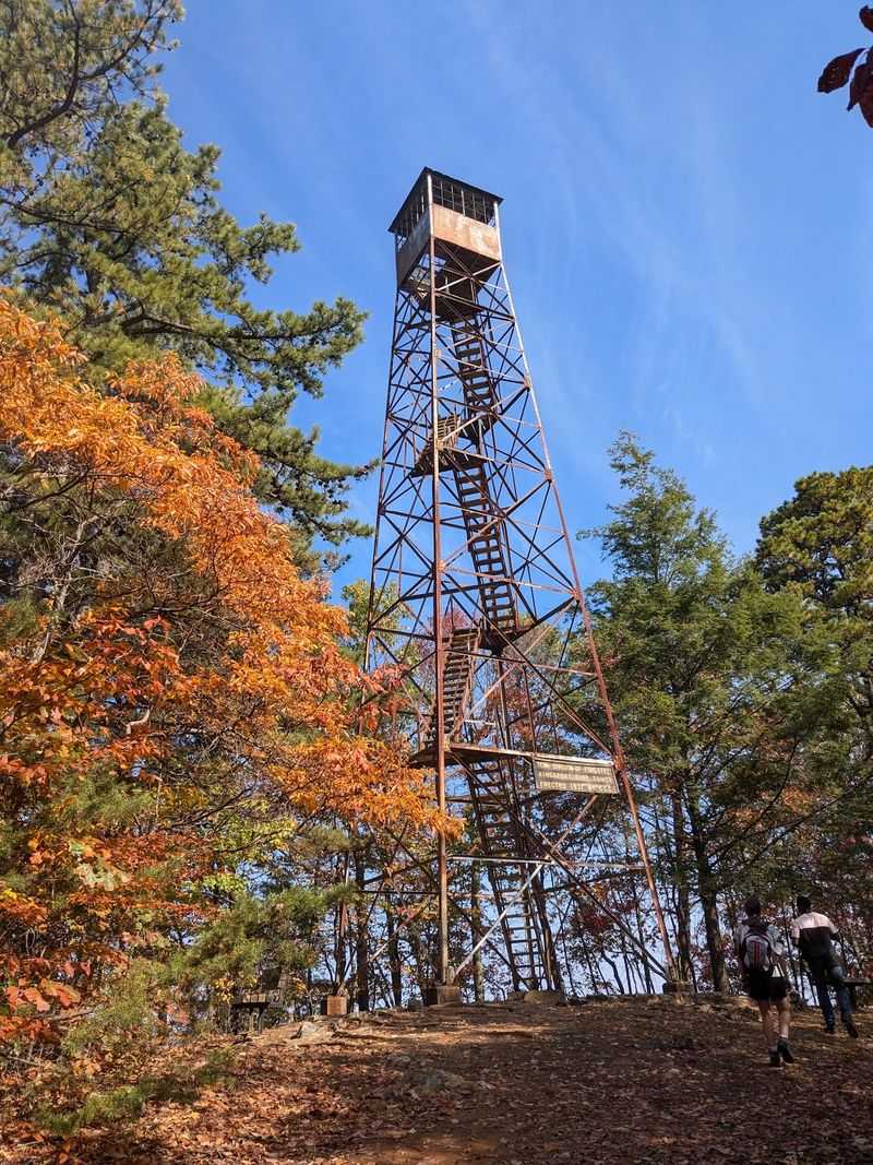 Climbing to the Fire Tower View
